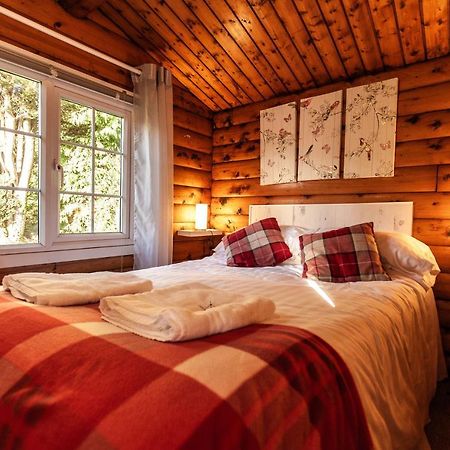 Welsh Retreat 2 Bedroom Log Cabin - Seren Property Trawsfynydd 外观 照片