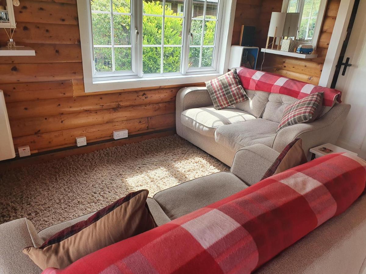 Welsh Retreat 2 Bedroom Log Cabin - Seren Property Trawsfynydd 外观 照片