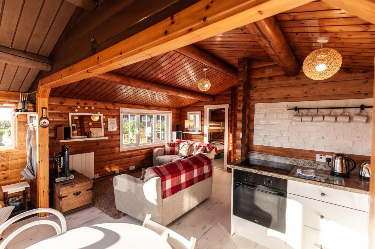 Welsh Retreat 2 Bedroom Log Cabin - Seren Property Trawsfynydd 外观 照片