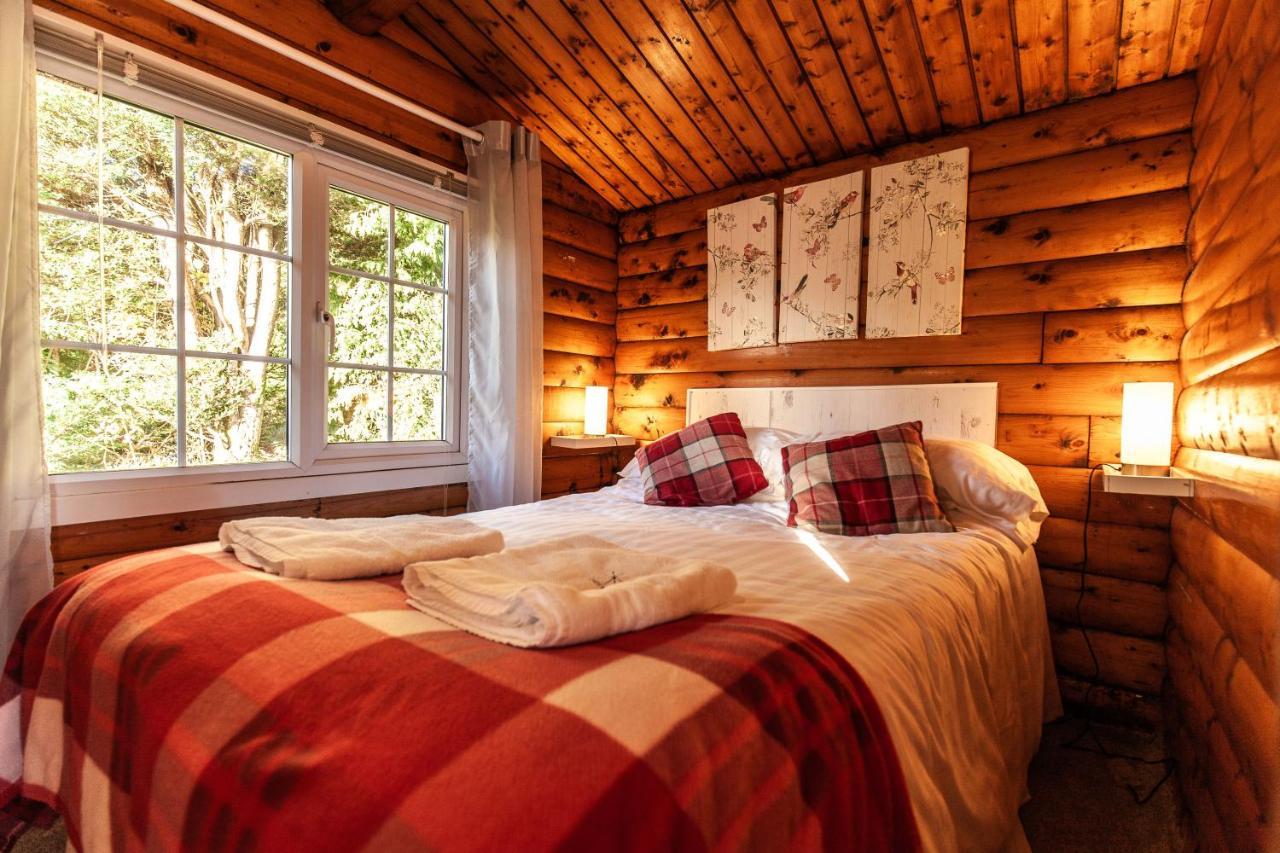 Welsh Retreat 2 Bedroom Log Cabin - Seren Property Trawsfynydd 外观 照片