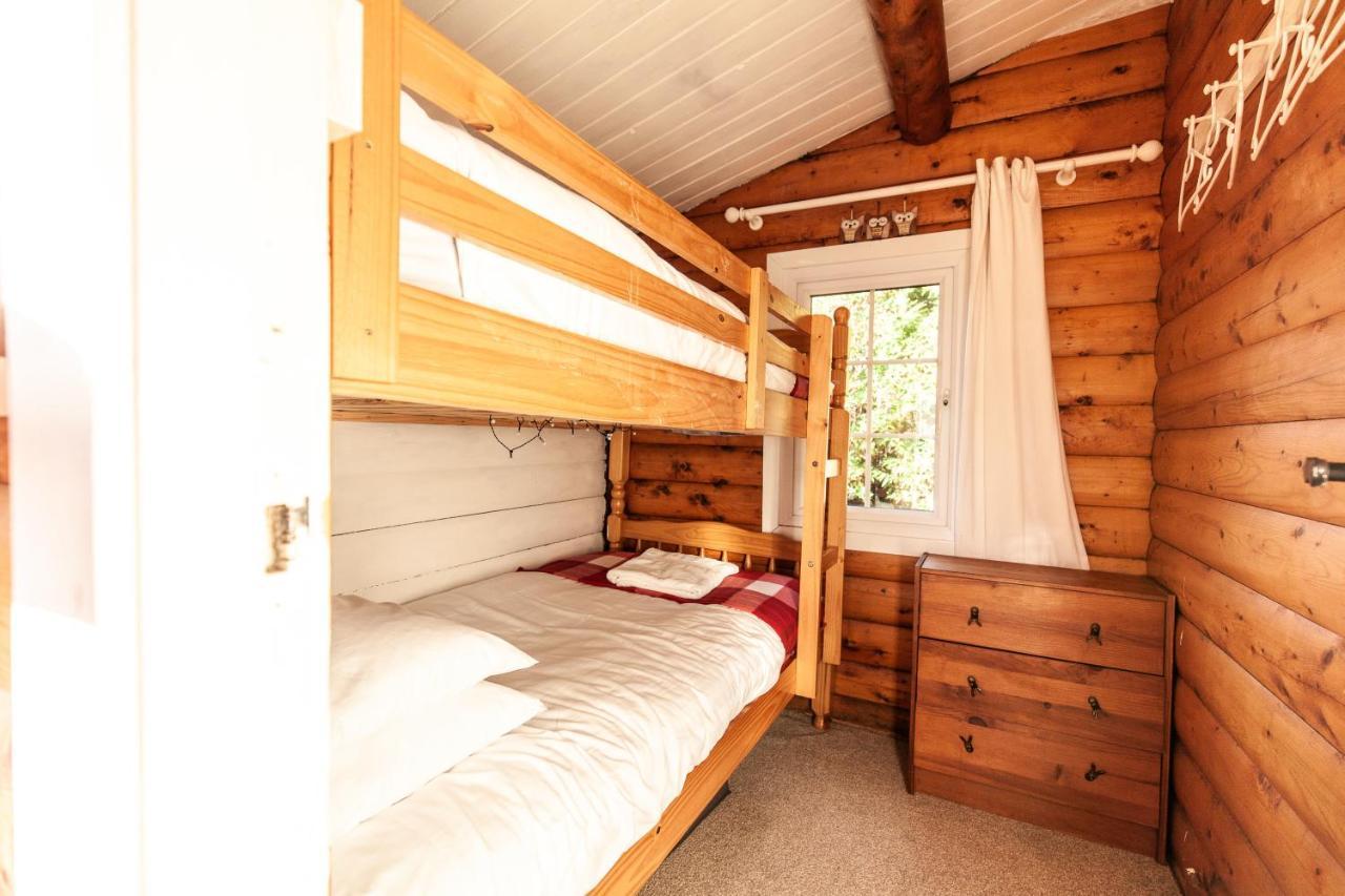 Welsh Retreat 2 Bedroom Log Cabin - Seren Property Trawsfynydd 外观 照片