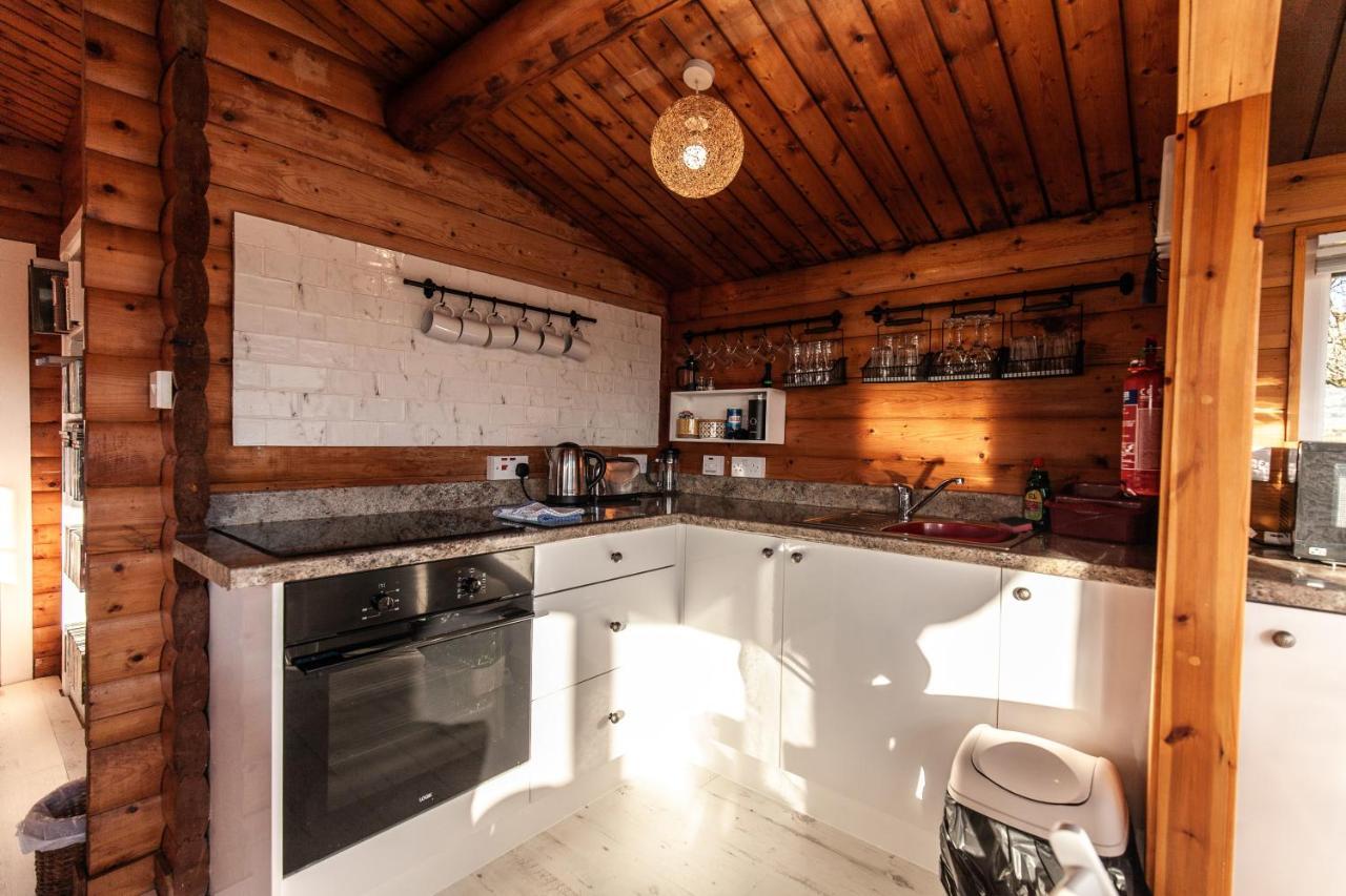 Welsh Retreat 2 Bedroom Log Cabin - Seren Property Trawsfynydd 外观 照片