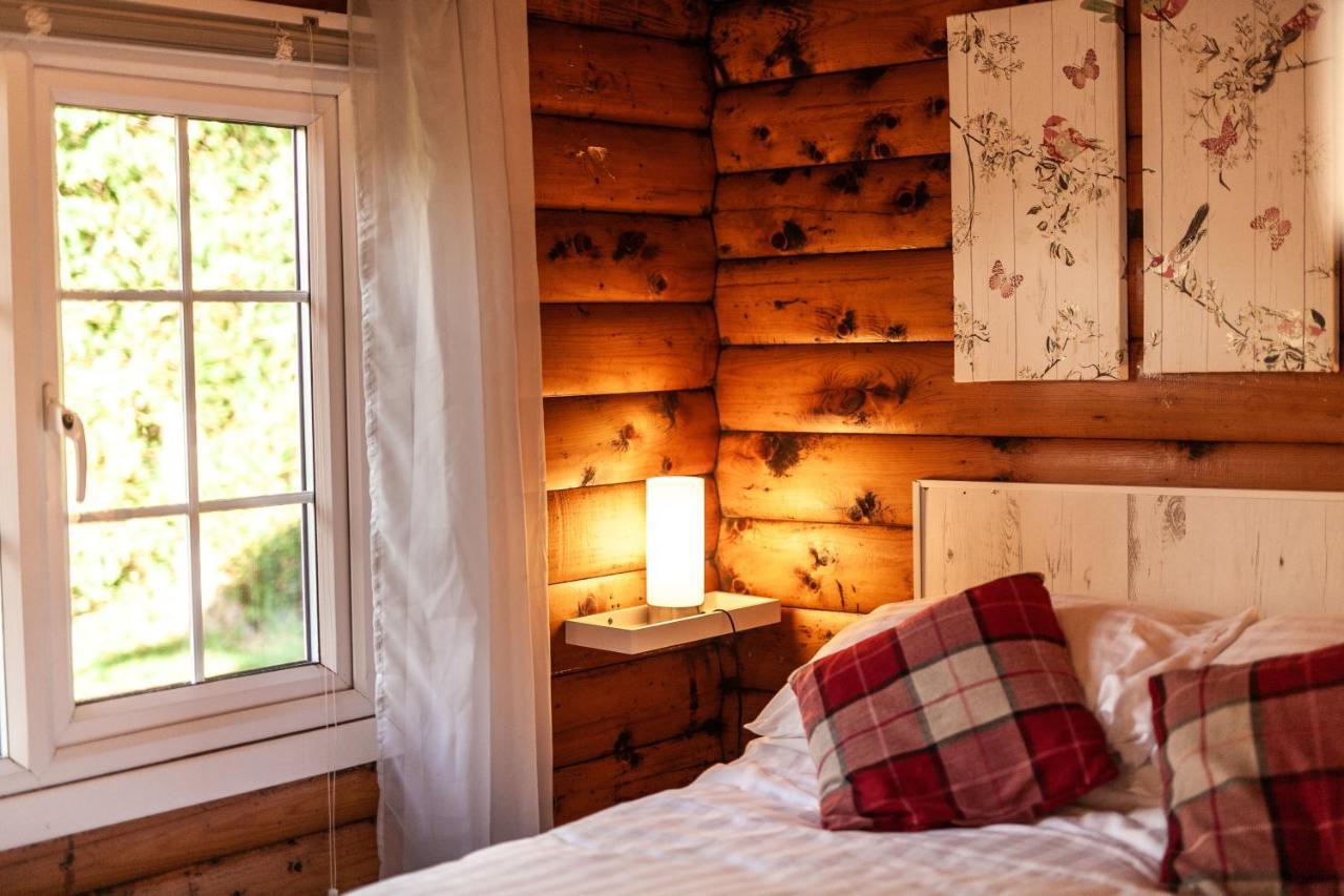 Welsh Retreat 2 Bedroom Log Cabin - Seren Property Trawsfynydd 外观 照片