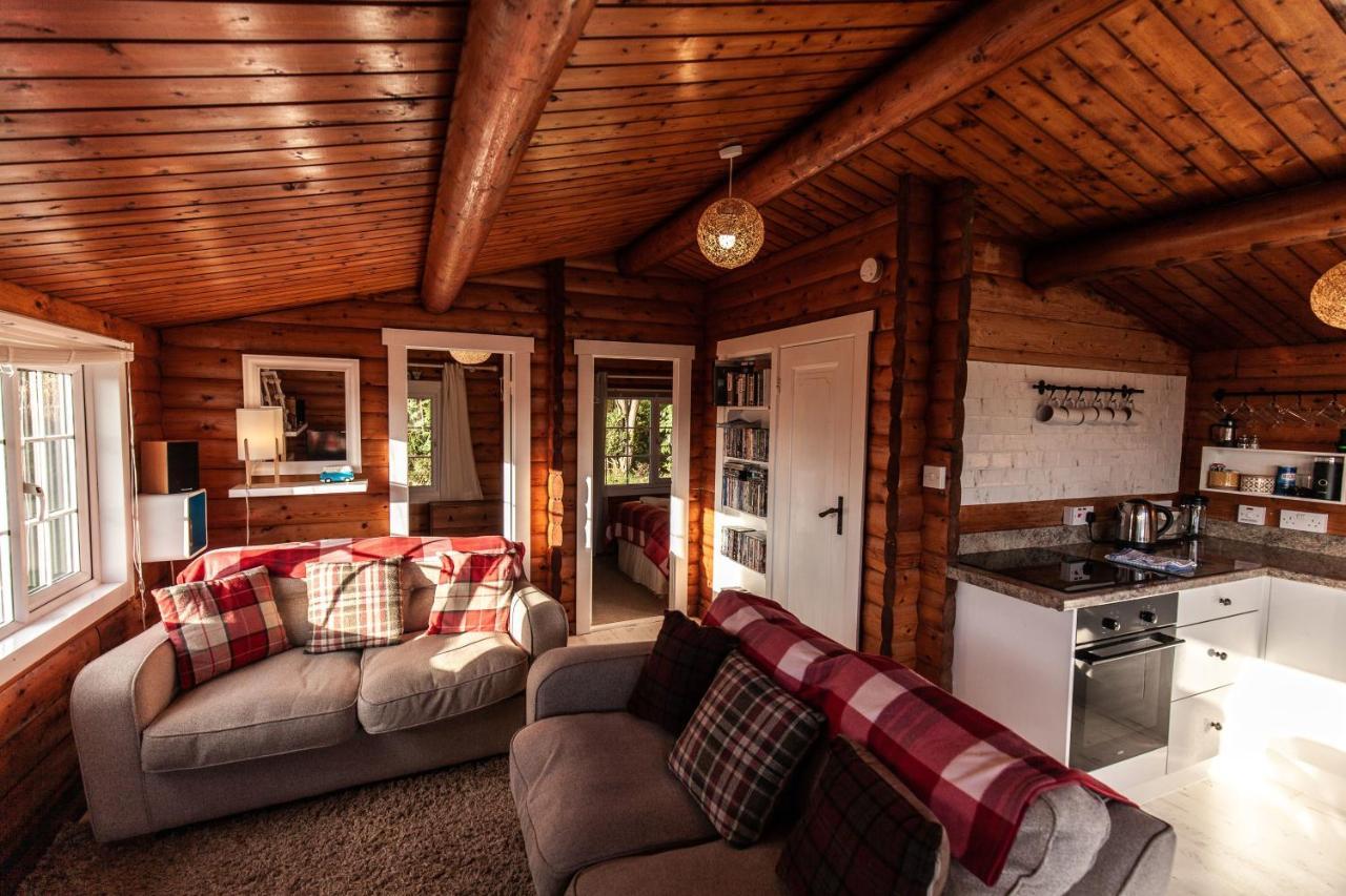 Welsh Retreat 2 Bedroom Log Cabin - Seren Property Trawsfynydd 外观 照片